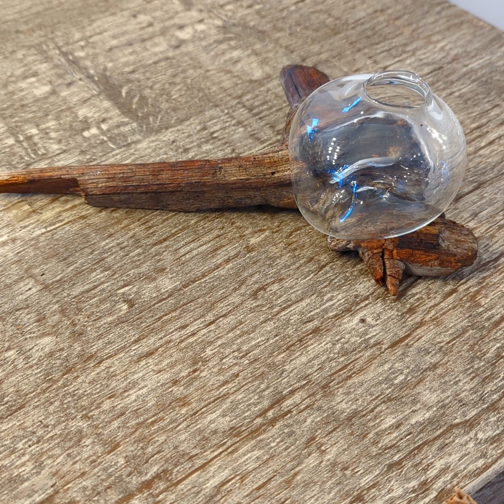 NWT Driftwood and Blown Glass Vase
